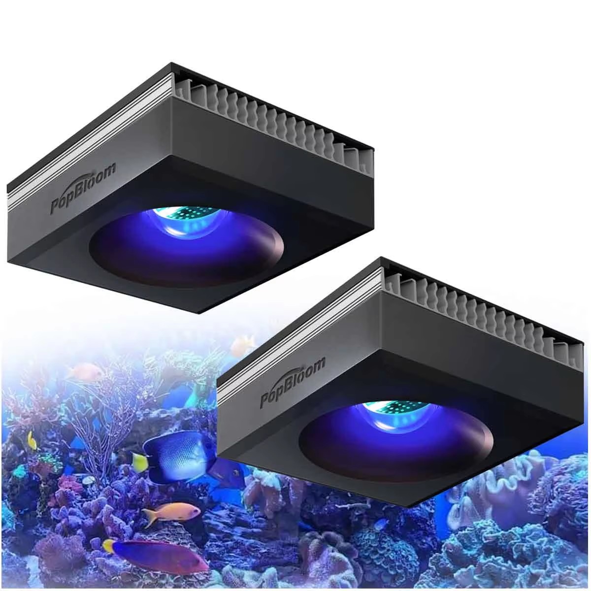 Marine Aquarium Reef - PopBloom RL90 WiFi Rif Aquarium Verlichting