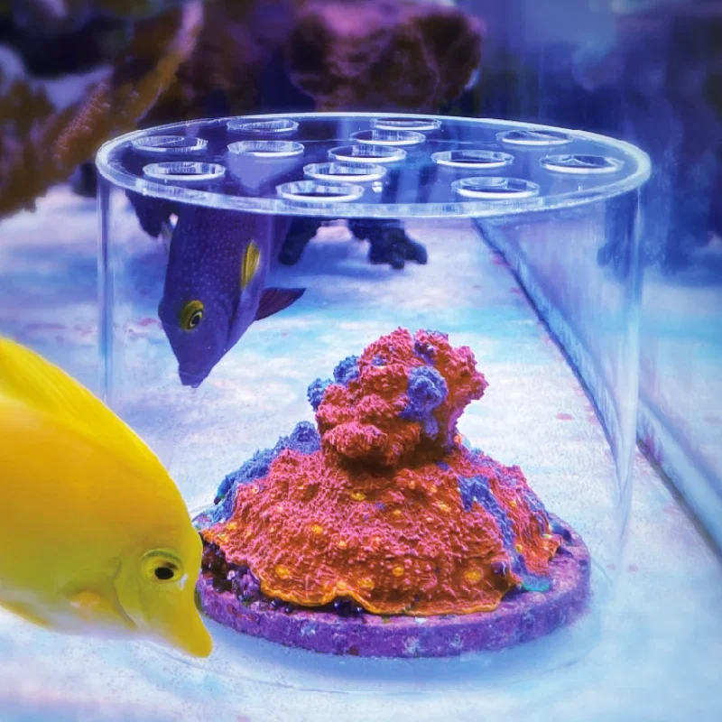 Marine Aquarium Reef - Vastocean Aquarium Acryl Koraal Feeder Kap