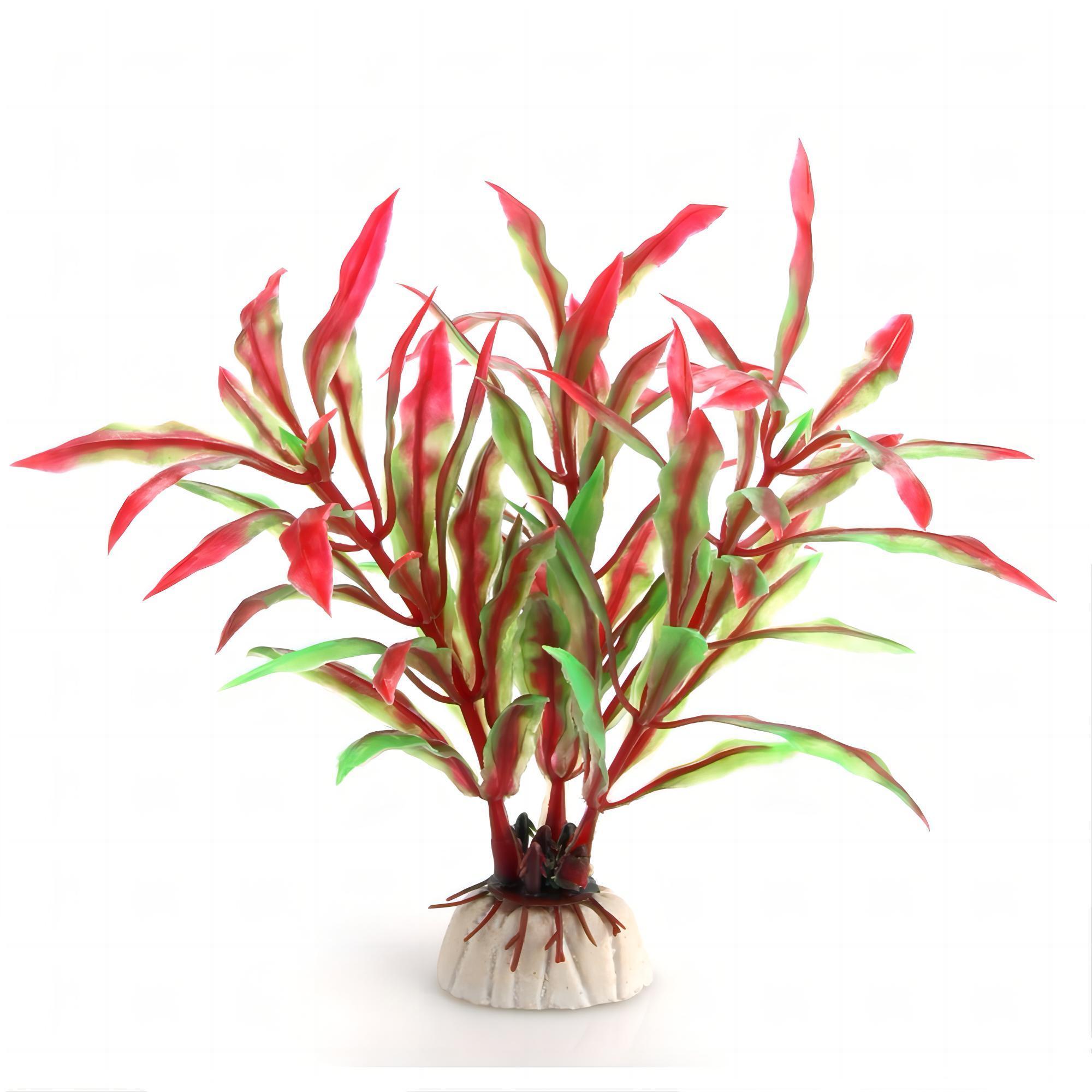 Aquarium Marine Rock - Aquarium Planten Aquarium Aquarium Aquarium Achtergrond