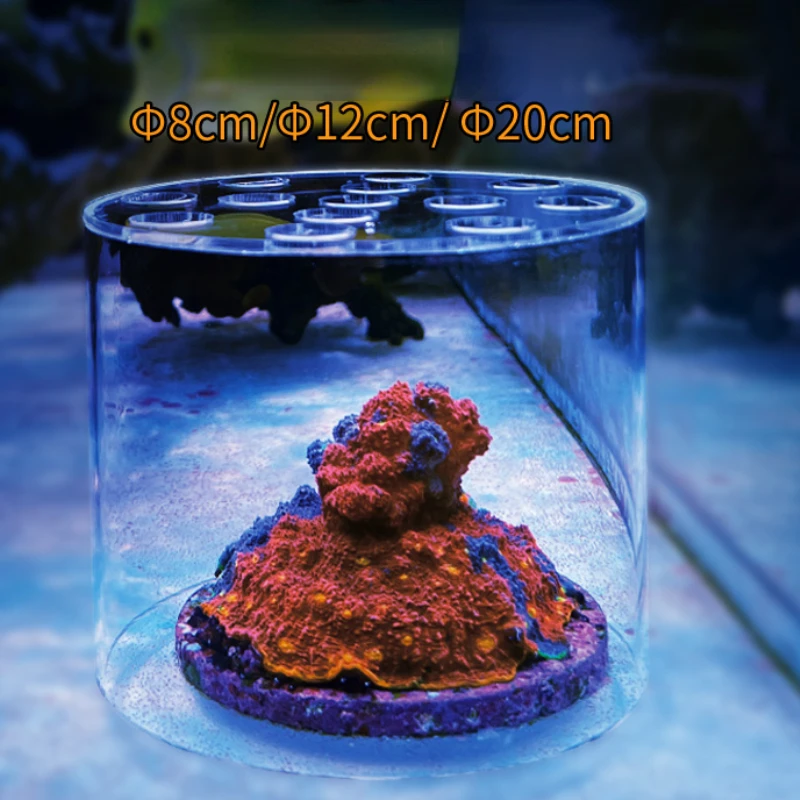 Vastocean Aquarium Acryl Koraa - Marine Aquarium Reef recensie en prijs