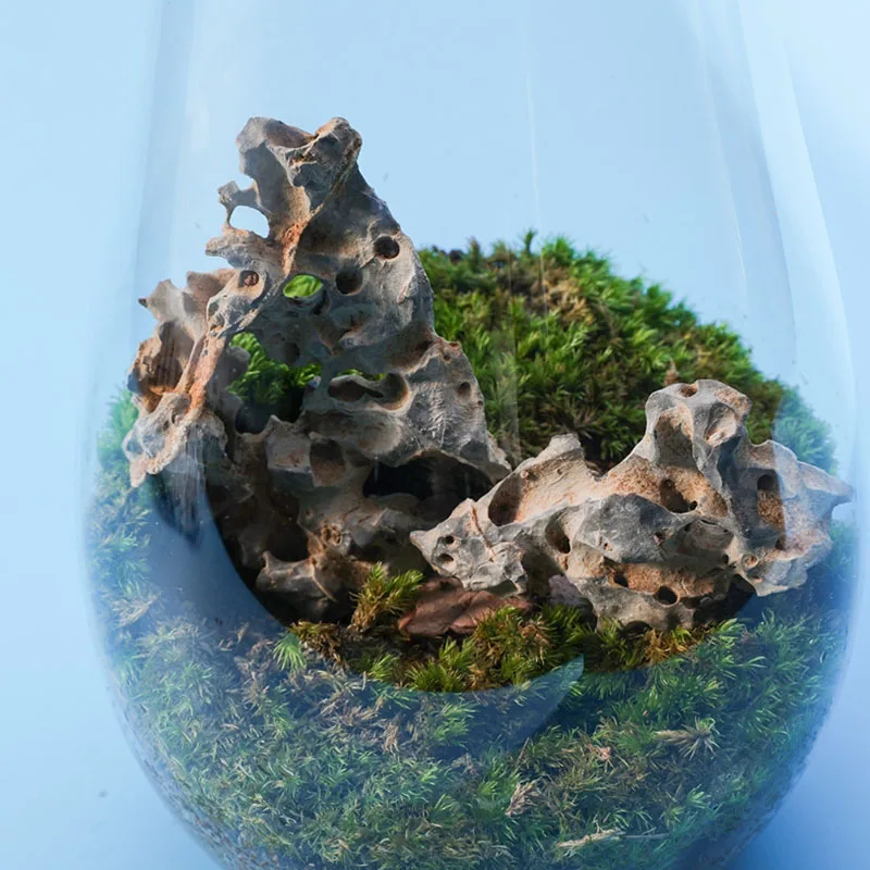 1 Stuks 4-6Cm Natuurlijk Aquar - Aquarium Marine Rock recensie en prijs