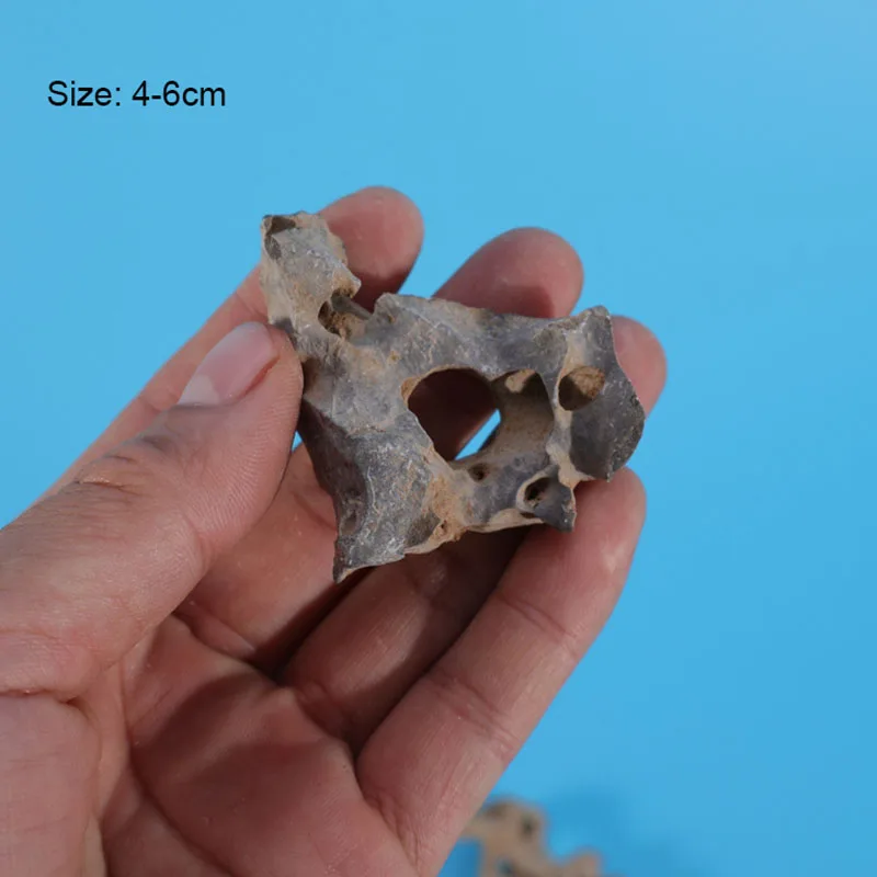 1 Stuks 4-6Cm Natuurlijk Aquar - Aquarium Marine Rock recensie en prijs