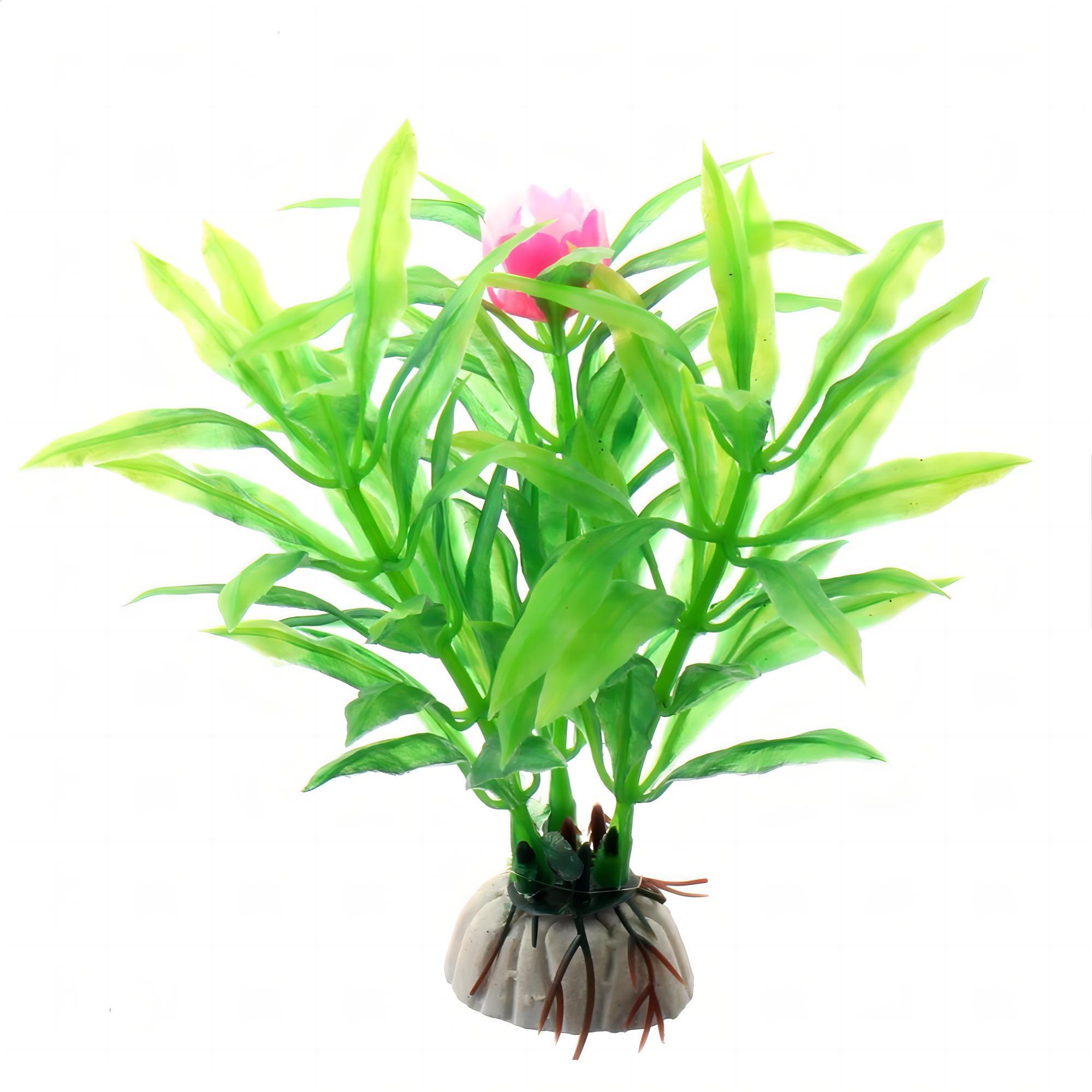 Aquarium Planten Aquarium Aqua - Aquarium Marine Rock recensie en prijs