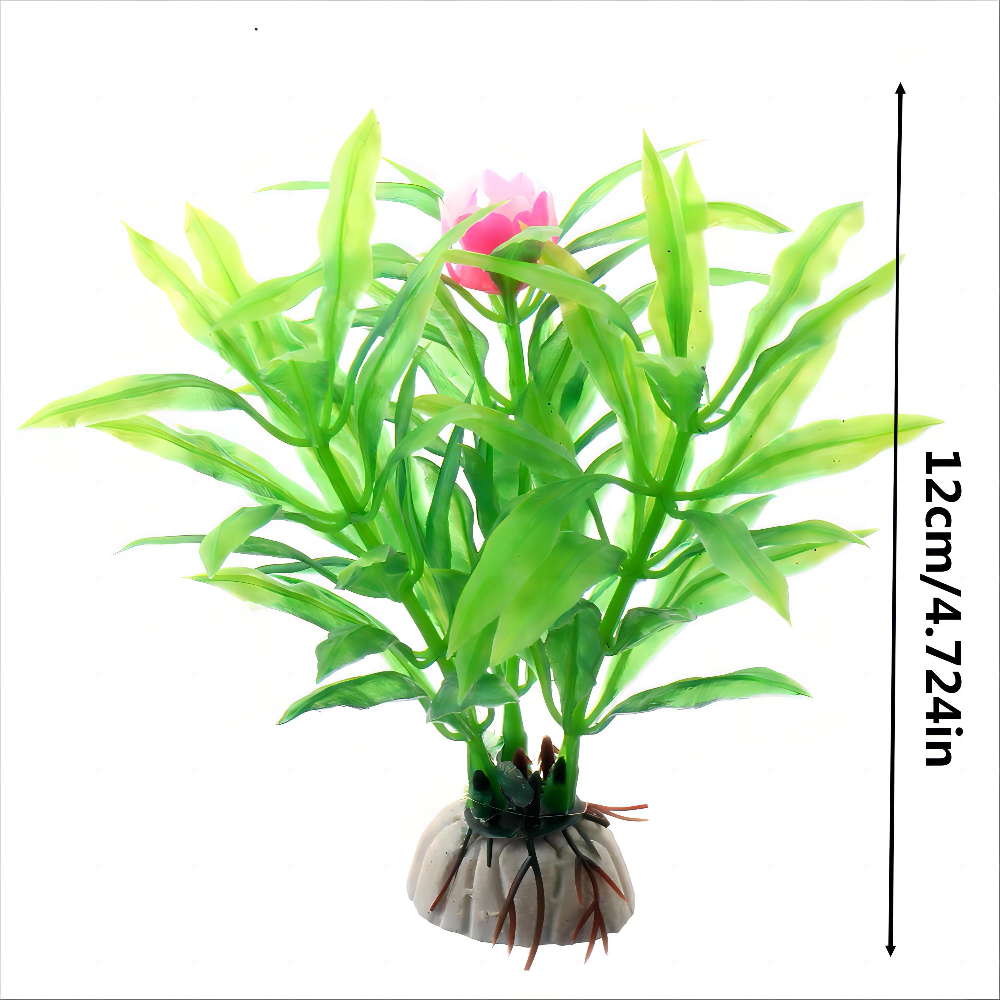 Aquarium Planten Aquarium Aqua - Aquarium Marine Rock recensie en prijs