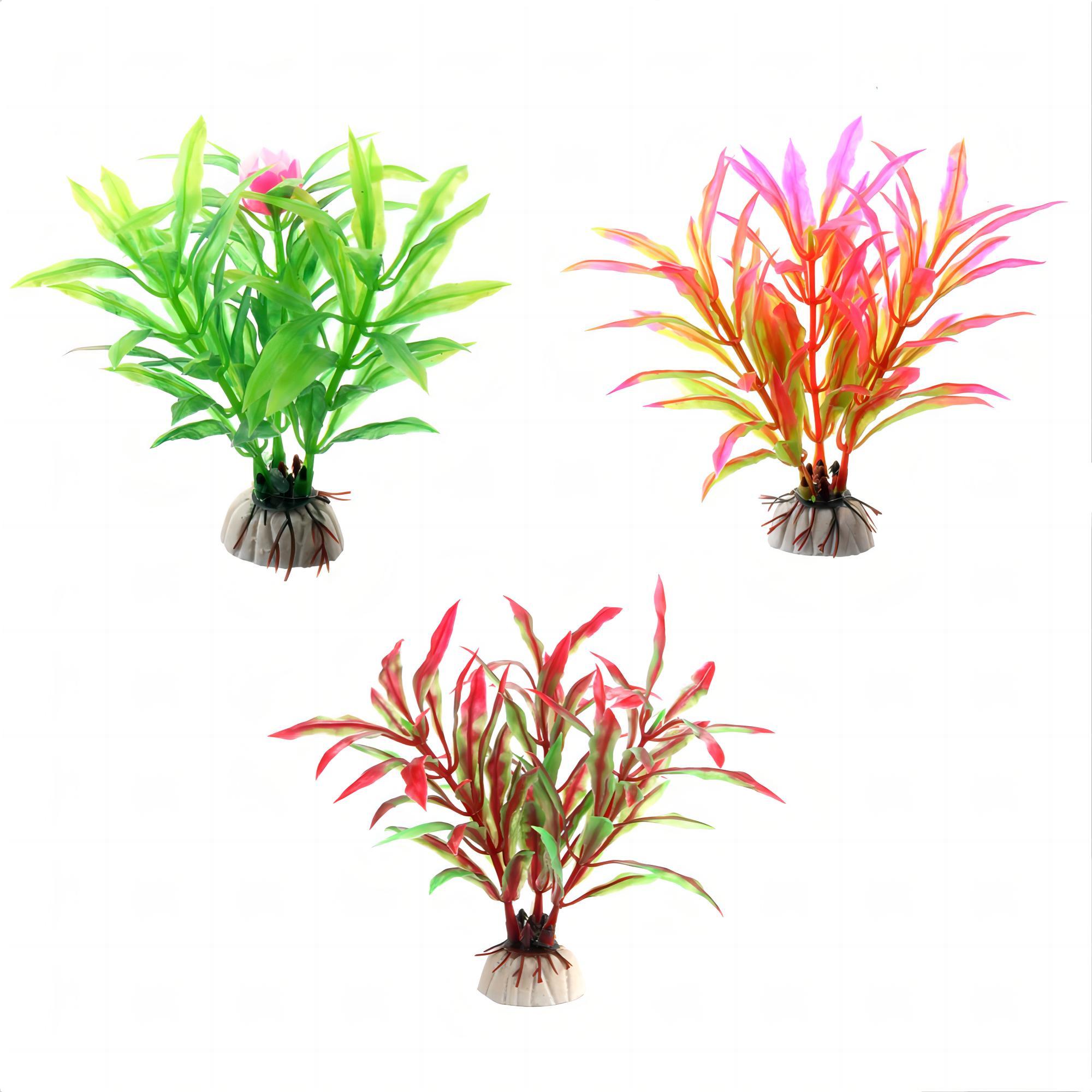 Aquarium Planten Aquarium Aqua - Aquarium Marine Rock recensie en prijs