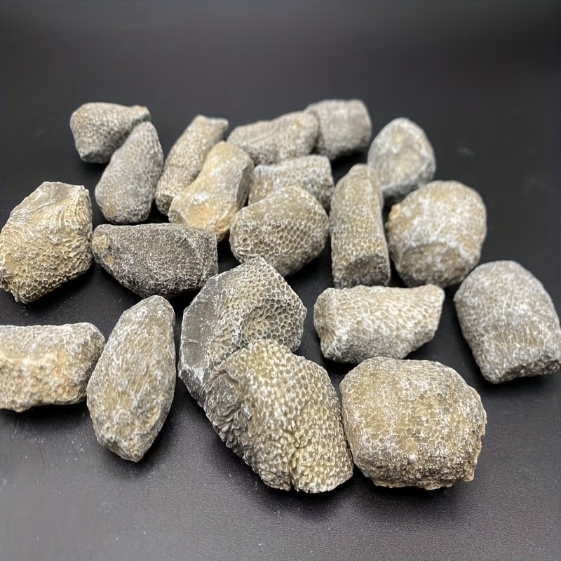 1 stuk natuurlijk koraalrots g - Aquarium Marine Rock recensie en prijs