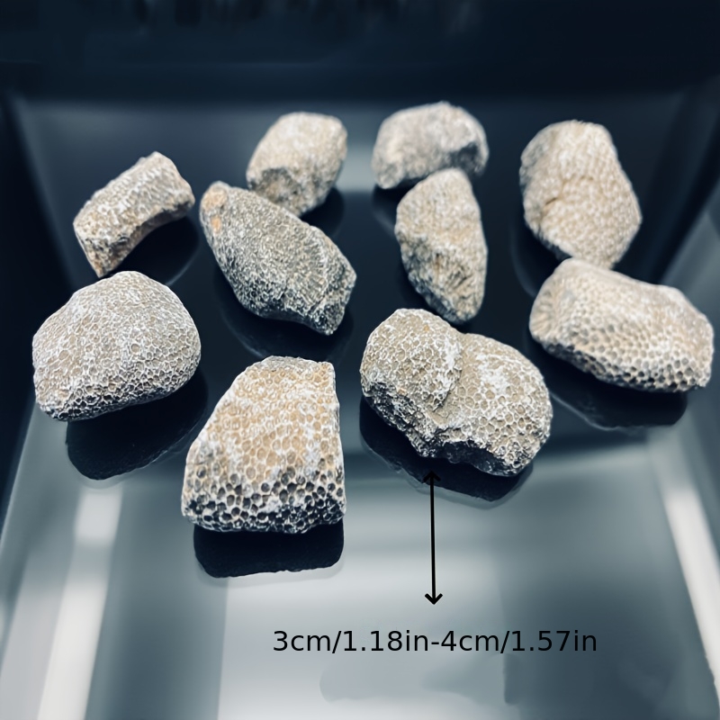 1 stuk natuurlijk koraalrots g - Aquarium Marine Rock recensie en prijs